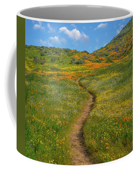 00568206 Coffee Mug featuring the photograph California Poppy, Desert Bluebell And Wildflower Spring Bloom, Diamond Valley Lake, California by Tim Fitzharris