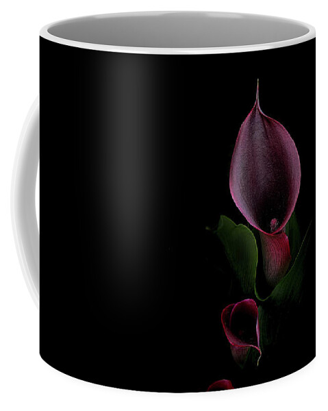 Floral Coffee Mug featuring the photograph Calla out of Darkness by Carl H Payne