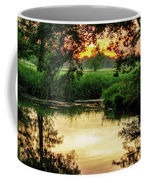 Spreewald Coffee Mug featuring the photograph Calm in the evening in the Spreewald by Sun Travels