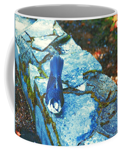 Wildlife Coffee Mug featuring the photograph Camp Robber by Steve Warnstaff
