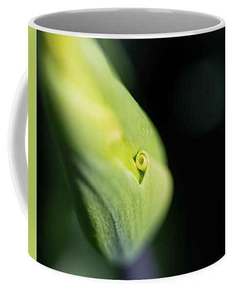 Chicago Botanic Gardens Coffee Mug featuring the photograph Can you roll your tongue by Lauri Novak