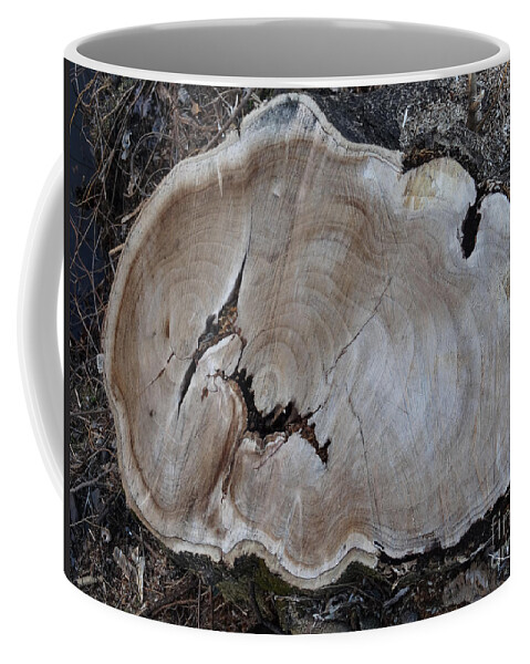 Canal Coffee Mug featuring the photograph Canal Stumps-058 by Christopher Plummer