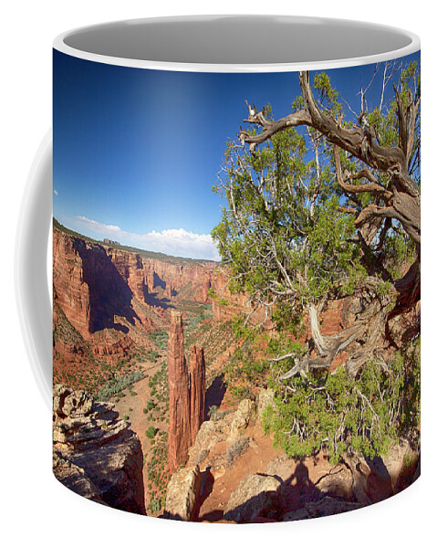 Canyon De Chelly Coffee Mug featuring the photograph Canyon De Chelly by Douglas Barnard
