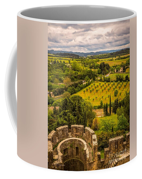 Carcassonne Coffee Mug featuring the photograph Carcassonne by Mary Capriole