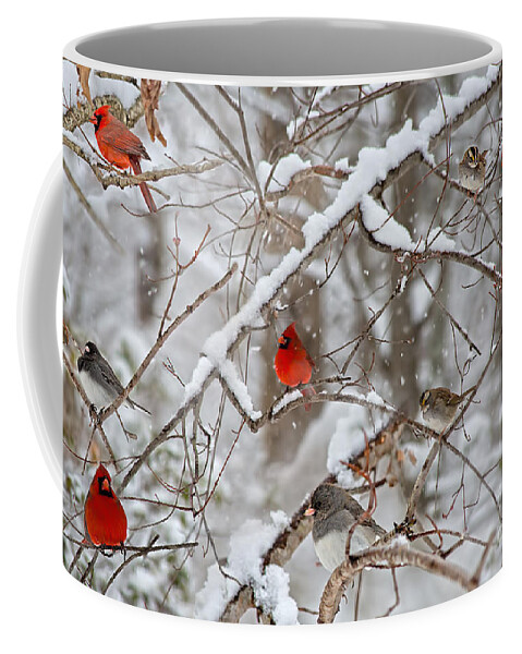 Cardinals Photos Coffee Mug featuring the photograph Cardinal Bird Party by Peggy Franz