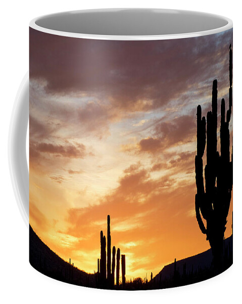 Estock Coffee Mug featuring the digital art Cardon Cactus, Baja California, Mexico by Natalino Russo