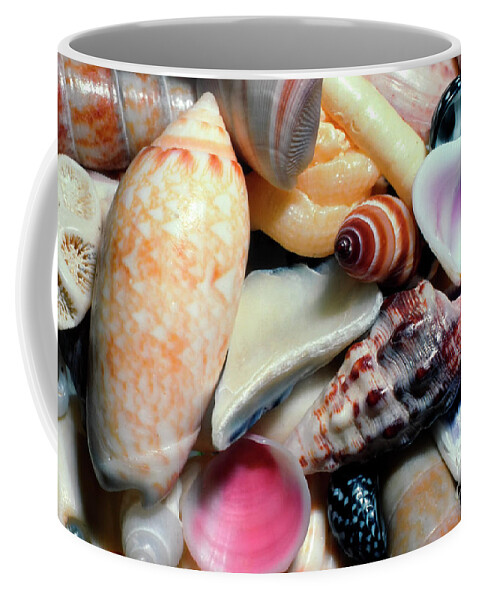 Puerto Rico Coffee Mug featuring the photograph Caribbean Seashell Collection by Thomas R Fletcher