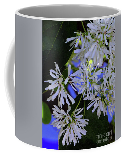 Flower Coffee Mug featuring the photograph Carly's Tree - The Delicate Grow Strong by Rick Locke - Out of the Corner of My Eye