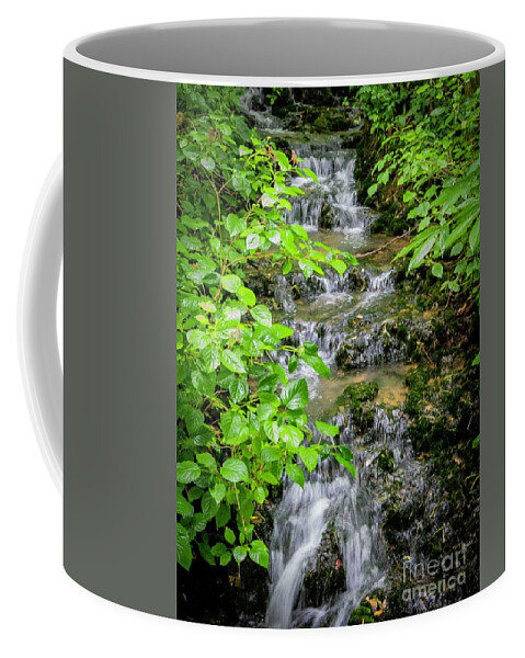 Nature Coffee Mug featuring the photograph Cascading Water by Bob Mintie