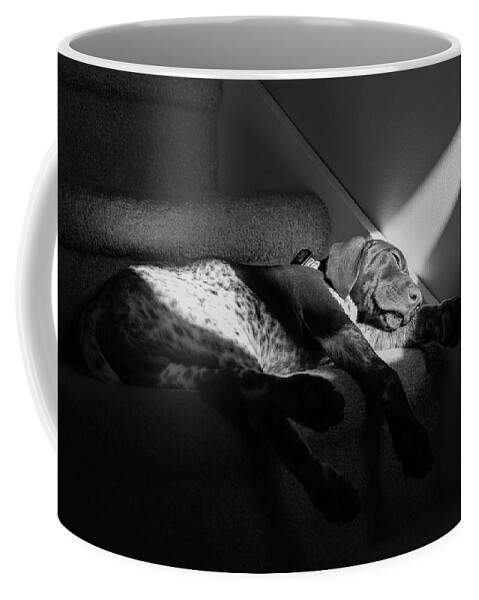 Dog Coffee Mug featuring the photograph Catch The Sun by Denise LeBleu
