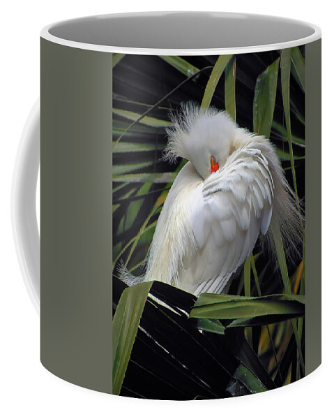 Egret Coffee Mug featuring the photograph Catching the Red Eye by Michael Allard