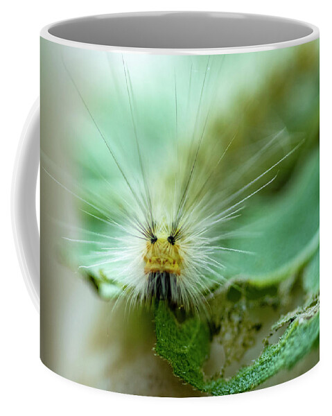 Macro Coffee Mug featuring the photograph Caterpillar Macro by Cathy Kovarik