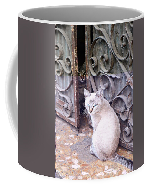 Cats Coffee Mug featuring the photograph Cats by Thomas Schroeder