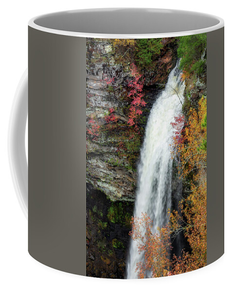 Cedar Falls Coffee Mug featuring the photograph Cedar Falls by James Barber
