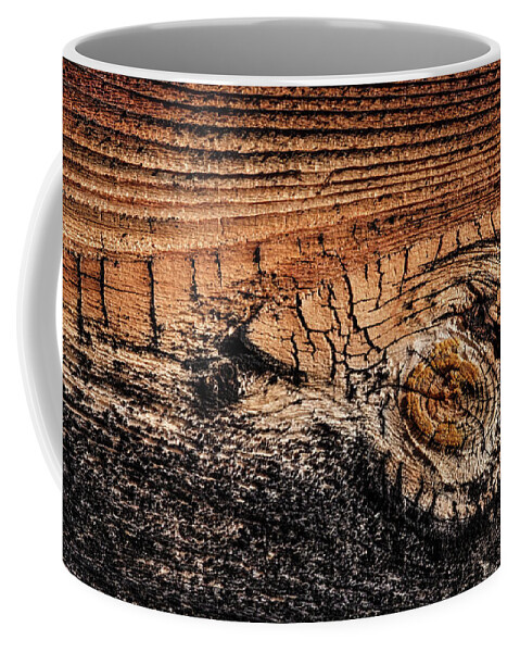 Winter Coffee Mug featuring the photograph Cedar Siding Version 5 by Glenn DiPaola