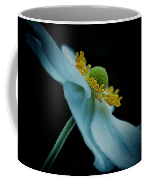 Connie Handscomb Coffee Mug featuring the photograph Celebrity by Connie Handscomb