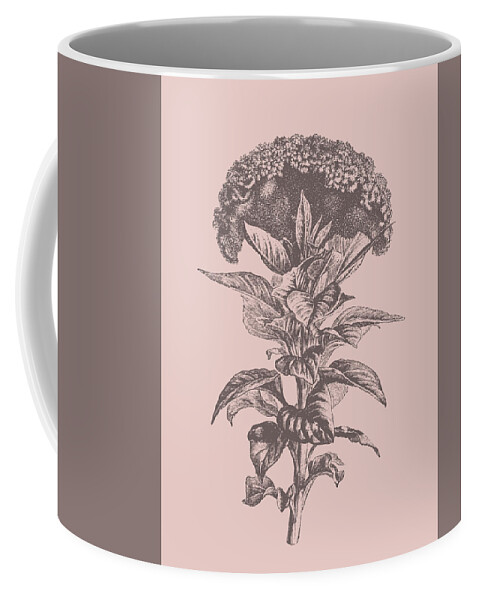 Celosia Coffee Mug featuring the mixed media Celosia Blush Pink Flower by Naxart Studio