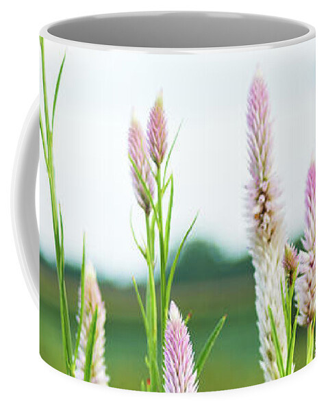 Garden Coffee Mug featuring the photograph Celosia field by Garden Gate magazine