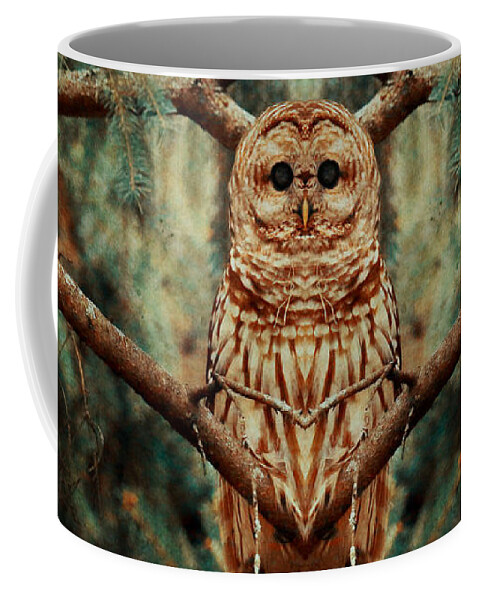 Barred Owl Coffee Mug featuring the photograph Center of the universe by Heather King