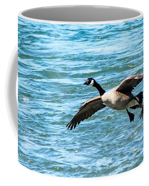 Canada Geese Coffee Mug featuring the photograph Chattahoochee Fly-By by Mary Ann Artz