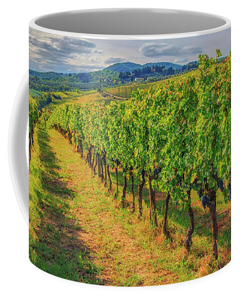 Tuscany Coffee Mug featuring the photograph Chianti Wine Country by Lev Kaytsner