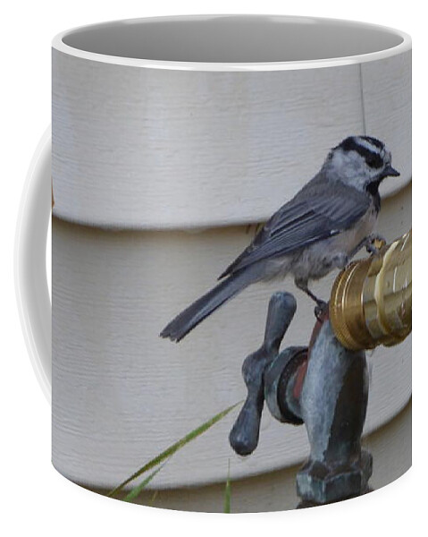 Chickadee Coffee Mug featuring the photograph Chickadee on a spigot by Charles Robinson