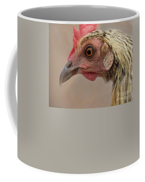  Coffee Mug featuring the photograph Chicken Face 2 by Christy Garavetto