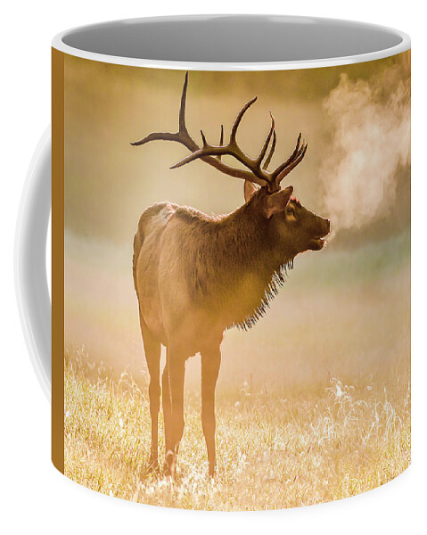 Elk Coffee Mug featuring the photograph Frosty Bugle Breath by Marcy Wielfaert