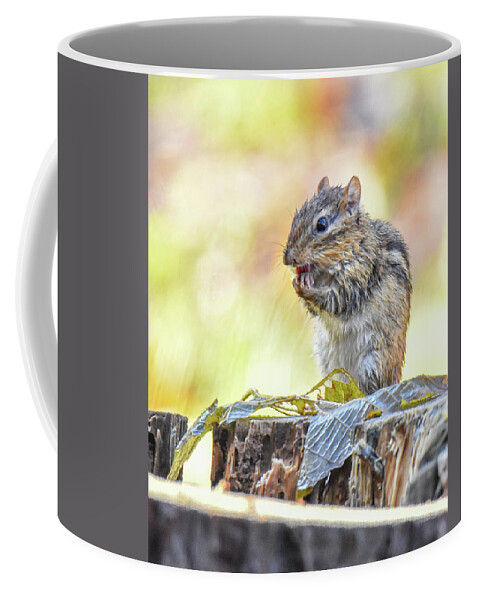 Chipmunk Coffee Mug featuring the photograph Chipmunk by Michelle Wittensoldner