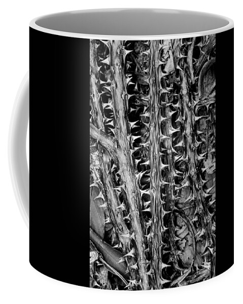 Euphorbia Coffee Mug featuring the photograph Christs' thorn by Alessandra RC