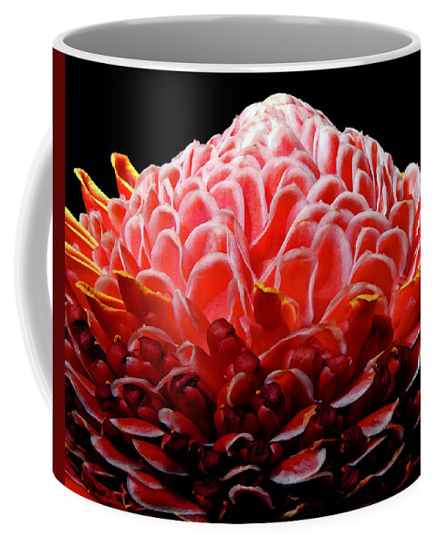Cinnamon Flower Coffee Mug featuring the digital art Cinnamon Flower by Gary Olsen-Hasek