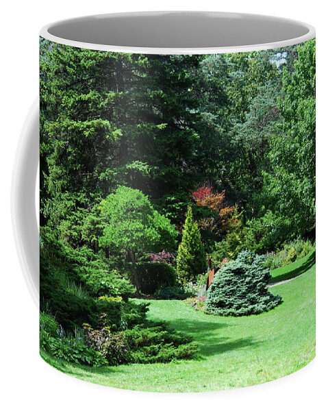 Gardening Coffee Mug featuring the photograph City Garden by Ee Photography