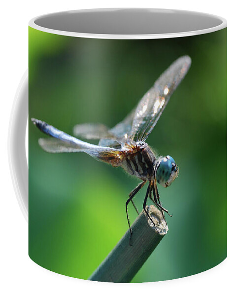 Close Up Dragonfly Coffee Mug featuring the digital art Close Up Dragonfly by Don Wright