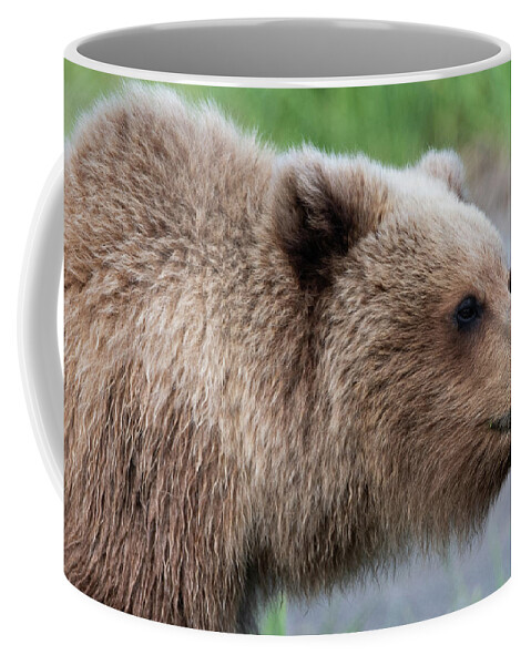 Bear Coffee Mug featuring the photograph Close up portrait of Alaskan Brown Bear by Mark Hunter