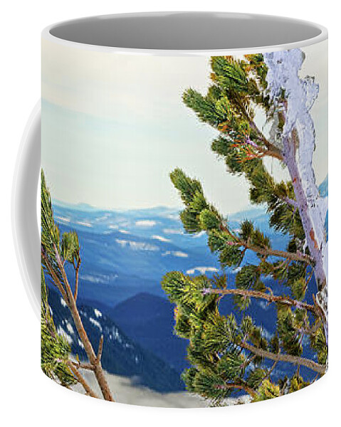 Nature Coffee Mug featuring the photograph Closeup Ice Covered Icy Conifer Tree Leaning From Wind With Winter Forest Valley In Background by Robert C Paulson Jr