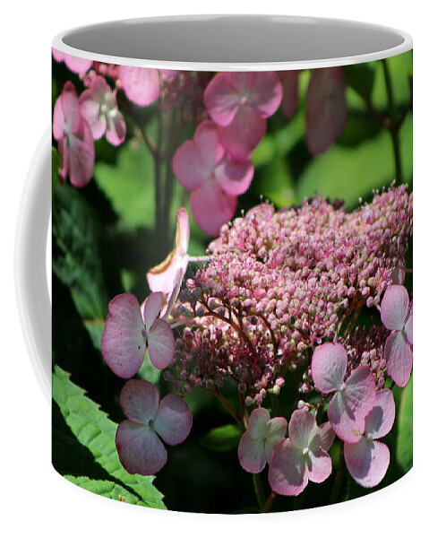 Hydrangea Coffee Mug featuring the photograph Closeup of Bouquet Pink Hydrangea by Colleen Cornelius