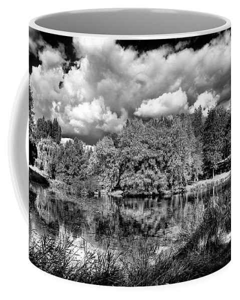 Hdr Coffee Mug featuring the photograph Clouds over the Arboretum by David Patterson
