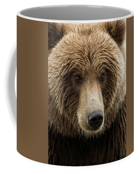 Wild Coffee Mug featuring the photograph Coastal Brown Bear closeup by Gary Langley