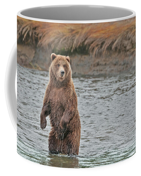 Wild Coffee Mug featuring the photograph Coastal Brown Bears On Salmon Watch by Gary Langley