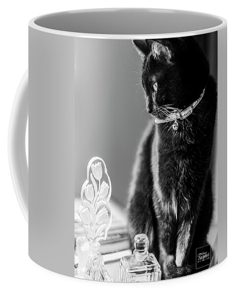Cat Coffee Mug featuring the photograph Coco Cat by Pamela Taylor