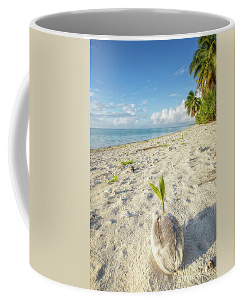 Coconut Coffee Mug featuring the photograph Coconut Sprout by Becqi Sherman
