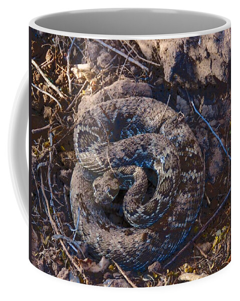 Affordable Coffee Mug featuring the photograph Coiled and Ready by Judy Kennedy