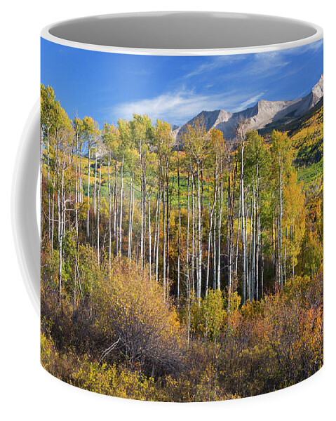 America Coffee Mug featuring the photograph Colorado Autumn Aspens by John De Bord