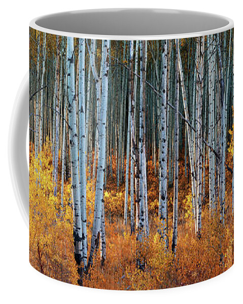 Olena Art Coffee Mug featuring the photograph Colorado Autumn Wonder Panorama by OLena Art