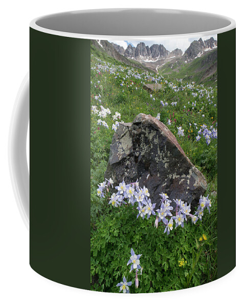 Jeff Foott Coffee Mug featuring the photograph Colorado Blue Columbine And Rockies by Jeff Foott