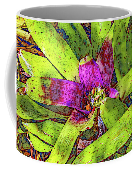 Gardens Coffee Mug featuring the photograph Colorful Bromeliad by Roslyn Wilkins