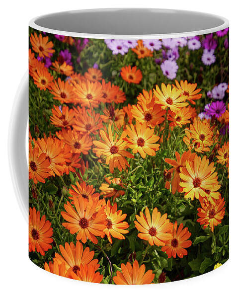 Birgu Coffee Mug featuring the photograph Colorful spring garden by Steve Estvanik