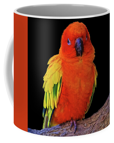 Colorful Sun Conure Coffee Mug For Sale By Hh Photography Of Florida,Dr Pepper Pulled Pork Crock Pot