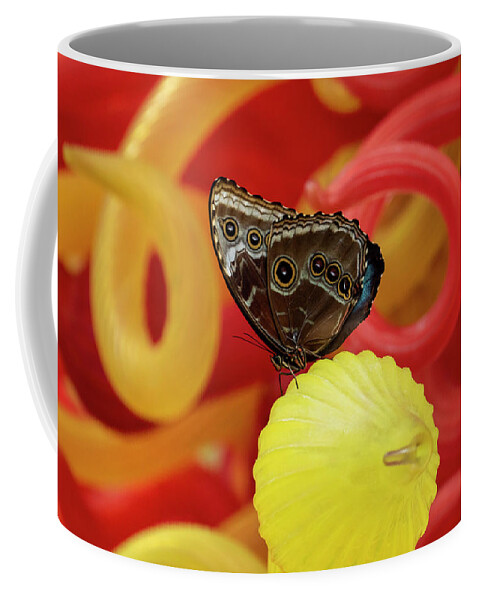 Butterlfly Coffee Mug featuring the photograph Colors of the Butterfly by Arthur Oleary