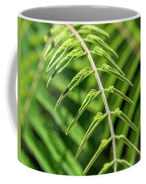 Greenery Coffee Mug featuring the photograph Coming to Life by Mary Chris Hines